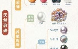 珍珠是什么生肖？珍珠打一准确生肖