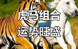 称霸森林是什么生肖？森林代表什么生肖