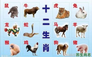 广是什么生肖？广东代表十二生肖谁