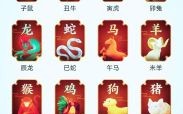 8号生肖是什么？8号数字什么生肖