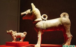 宰相指的是什么生肖？宰相的正确答案