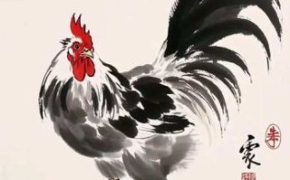 逍遥写意是什么生肖？12生肖哪个最逍遥