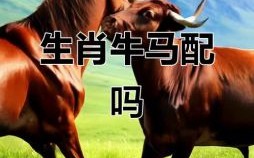 骑马取媳妇是什么生肖？骑马代表什么生肖