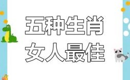 淑女是什么生肖？淑女打一个正确生肖