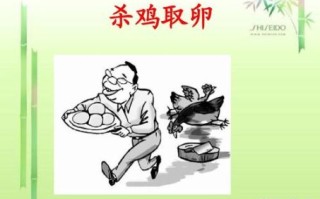 杀鸡取卵是什么生肖？杀鸡取卵打最正确一肖