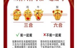 三言二语是什么生肖？三言两语打一准确动物