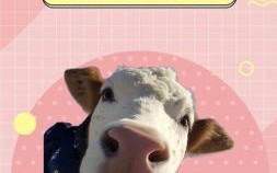 忠诚的动物是什么生肖？十二生肖最忠诚准确生肖