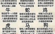 英雄打一生肖是什么？父亲是代表什么生肖