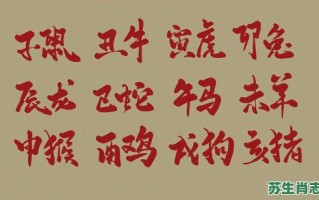 书法家是什么生肖？书法最正确的生肖