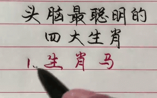 头脑灵活是什么生肖？头脑灵活正确答案一肖