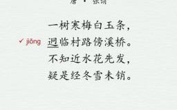 春色红梅香万树是什么生肖？春色红梅香万树正确答案