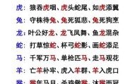 春风野火是什么生肖？春风野火打一准确动物