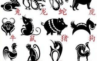 体型长是什么生肖？最长的生肖是哪一肖