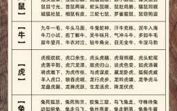 亮 是什么生肖？光指的是什么生肖