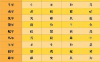 今天是什么生肖相冲？2025年今日相冲生肖查询