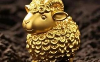 会发金光的是什么生肖？十二生肖中谁发金光