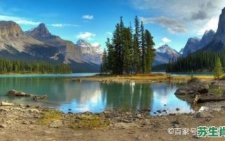 寒窗苦读三千日是什么生肖？寒窗苦读三千日打一正确答案