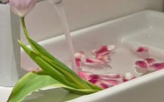 落花流水是什么生肖？落花流水打一正确动物