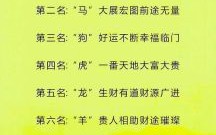 是一是九要三思是什么生肖？一是九要三思正确答案