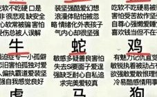 白天是什么生肖？白天最正确一肖