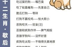 毛手毛脚是什么生肖？毛手毛脚的意思