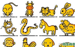 狎的生肖是什么？挍猾的动物打一生肖