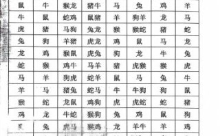 相是什么生肖？相字打一准确生肖