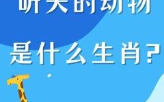 声音是什么生肖？声音打一动物