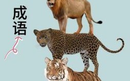 欲钱找你爸是什么生肖？爸爸代表什么生肖