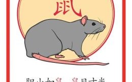 无是什么生肖？无打一准确生肖