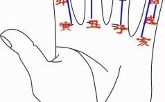 双手是什么生肖？手是哪个生肖