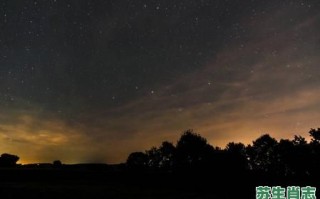 流星是什么生肖？流星正确答案一肖