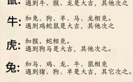 力大无比是什么生肖？力大无穷的三大生肖
