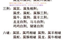 破破烂烂是什么生肖？烂代表什么生肖