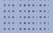相敬如宾是什么生肖？相敬如宾正确答案一肖