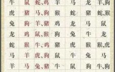 范是什么生肖？范的五行属性是什么