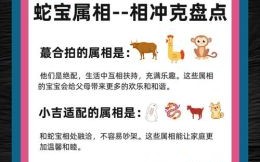 蛇后面是什么生肖？蛇宝宝好还是马宝宝好