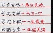 相亲相爱是什么生肖？相亲相爱打一准确动物