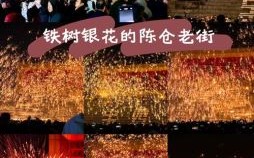 十二生肖银花是什么？铁树银花是什么生肖