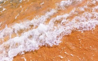 海浪是什么生肖？海浪打一准确生肖