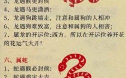 努立拼博的是什么生肖？努力代表什么生肖