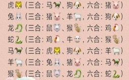 (抱)是什么生肖？喜欢抱在一起的生肖