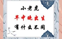 子时出生的是什么生肖？子时的虎属于什么虎