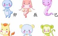 春不老是什么生肖？十二生肖不老的动物是什么