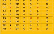 武肖是什么生肖？十二生肖中武肖是哪几肖
