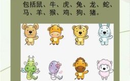 何肖是什么生肖？何代表什么动物