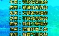 看不起人是什么生肖？看不起人最准确生肖