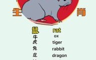 叫三声来是什么生肖？四来鸡叫三声猜数字