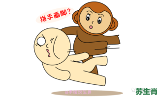 指手画脚是什么生肖？指手画脚打一正确生肖