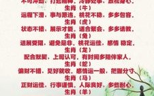 日里万机是什么生肖？三竿代表什么生肖